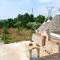 Charming house in Locorotondo, enclosed garden