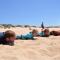 Charming studio in Peniche – Sea view 40 m²
