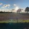 Hoeve Zandbelt