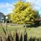 Bairnsdale Main Motel