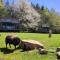 Domaine Spalazen Nature