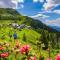 Luxury Chalet Mauthner Alm