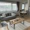 cosy apartment II - 特尔古穆列什