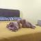 KS 80 Homestay (15pax)4R3B ~WiFi~ near Jetty