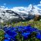 Capri Home - Zermatt