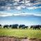 Amboseli Cultural Camping