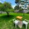 Villa Flor e Cor