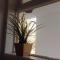 Charming Apartment in Tías + Pool