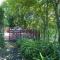 Cabbage Tree Cottage - 希尔顿