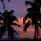 Return to Paradise Resort
