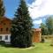 Lovely Holiday Home in Viechtach near the Forest