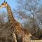 The Den at Kruger 3479 - Marloth Park