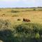 ZeeLand & Meer