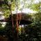 TREEHOUSE PILON PAVONES - Pavones