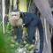 TREEHOUSE PILON PAVONES - Pavones