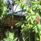 TREEHOUSE PILON PAVONES