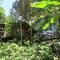 TREEHOUSE PILON PAVONES