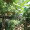 TREEHOUSE PILON PAVONES