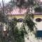 Berenice - Isola DElba Apartments