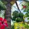 Tranquilidad Resort - Parrita