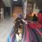 Chillsteps Hostel