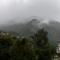 Janardan Resort Pangot Nainital