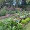 Entre Flores