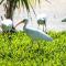 Newly Renovated 3br2ba Duplex with private Dock - Key Colony Beach