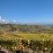 Cote Vignes photo 8
