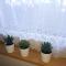 Őzike-Lak a Börzsönyben
