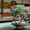 Toshiharu Ryokan