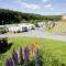 Corriefodly Holiday Park - Blairgowrie