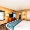Comfort Inn & Suites Alexandria West