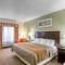 Comfort Inn Franklin Highway 96