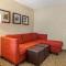 Comfort Suites Grand Rapids North