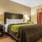 Comfort Inn & Suites Scott-West Lafayette