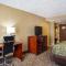 Comfort Inn University Area