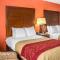 Comfort Inn Greensboro - Kernersville