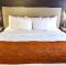 Comfort Suites Northlake