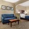 Comfort Suites Waco Near University Area