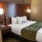 Comfort Suites Bethlehem Near Lehigh University and LVI Airport