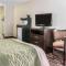 Comfort Inn Maumee - Perrysburg Area