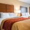 Comfort Inn PA Turnpike - I-81