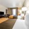 Comfort Inn & Suites Henderson - Las Vegas