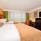 Holiday Inn Nashville Downtown - Stadium by IHG