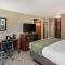 Comfort Inn University