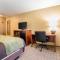 Comfort Inn University