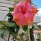 Pescador Hotel PH
