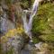 Location MarjoRI - T2 Le Paruline - 勒洛泽于拜