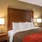Comfort Inn Biltmore West